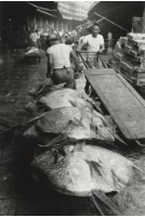 藏品(六零年代築地市場系列21)的圖片