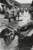 藏品(六零年代築地市場系列22)的圖片