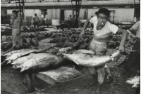 藏品(六零年代築地市場系列23)的圖片