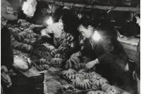 藏品(六零年代築地市場系列26)的圖片