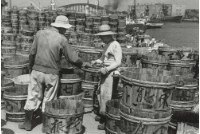 藏品(六零年代築地市場系列27)的圖片