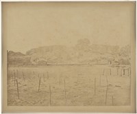 藏品(19世紀蛋白相紙6)的圖片