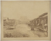 藏品(19世紀蛋白相紙8)的圖片