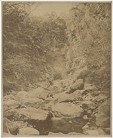 藏品(19世紀蛋白相紙9)的圖片