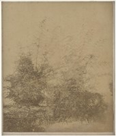 藏品(19世紀蛋白相紙10)的圖片