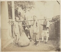 藏品(19世紀蛋白相紙20)的圖片