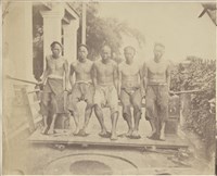 藏品(19世紀蛋白相紙22)的圖片