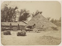 藏品(19世紀蛋白相紙24)的圖片