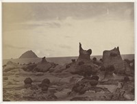 藏品(19世紀蛋白相紙45)的圖片