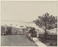 藏品(19世紀蛋白相紙46)的圖片