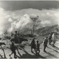 藏品(〈夕歸〉)的圖片