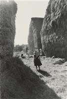 藏品(〈稻草堆〉)的圖片