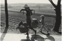 藏品(〈未命名14〉)的圖片