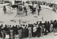 藏品(〈牛墟〉)的圖片