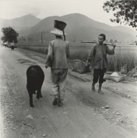 藏品(〈牽豬哥〉)的圖片