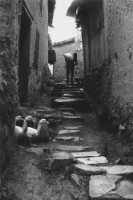 藏品(〈迎接主人歸〉)的圖片