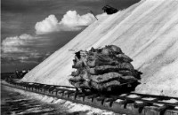 藏品(〈鹽田印象(二)〉)的圖片