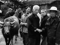 藏品(〈牛市交易，手勢暗語〉)的圖片