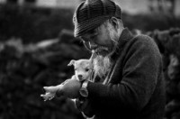 藏品(〈喜獲迷羊〉)的圖片