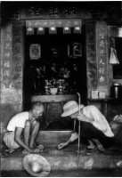 藏品(〈悠閒晚年〉)的圖片