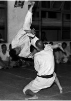 藏品(〈以柔克剛〉)的圖片