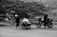 藏品(〈時尚與傳統〉)的圖片