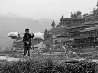 藏品(〈趕集路上〉)的圖片