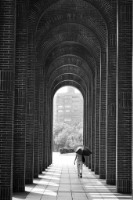 藏品(〈光影之間〉)的圖片