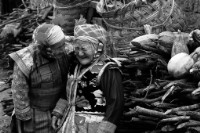 藏品(〈歡敘豐年〉)的圖片