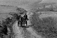 藏品(〈歸途〉)的圖片