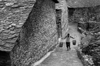 藏品(〈飲水思源〉)的圖片