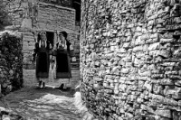 藏品(〈輕聲細語〉)的圖片