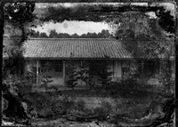 藏品(竹東寫真館玻璃版底片166)的圖片