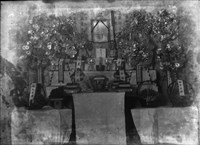 藏品(竹東寫真館玻璃版底片168)的圖片