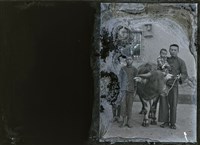 藏品(竹東寫真館玻璃版底片198)的圖片