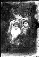 藏品(竹東寫真館玻璃版底片252)的圖片