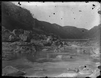 藏品(竹東寫真館玻璃版底片262)的圖片