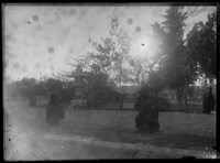 藏品(北港地區玻璃版底片3)的圖片