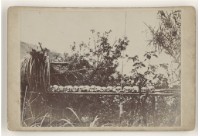 藏品(早期臺灣各地及人物相片14)的圖片