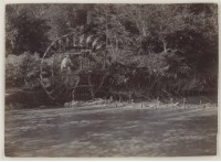 藏品(早期臺灣各地及人物相片28)的圖片