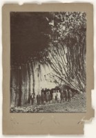 藏品(後藤新平相片4)的圖片