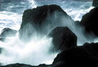 藏品(〈 永恆的對話，台灣〉)的圖片