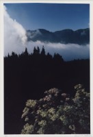 藏品(〈阿里山〉)的圖片