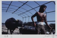 藏品(〈命運〉)的圖片