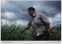 藏品(〈颱風過後〉)的圖片