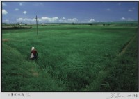 藏品(〈工業化以後〉)的圖片