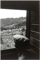 藏品(鄉愁)的圖片