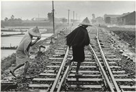 藏品(兩中蓑衣行)的圖片