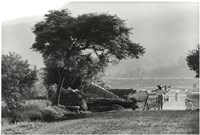 藏品(水底橋頭)的圖片