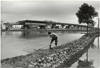 藏品(快速路下的黃昏良田)的圖片